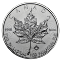 Kaufen Sie den Maple Leaf 1 oz 2020 Palladium bei Goldwechselhaus