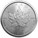 Koop de zilveren Maple Leaf monsterbox bij Goudwisselkantoor