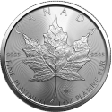 Kaufen Sie die Maple Leaf 1 oz Platinmünze 2023 bei Goldwechselhaus